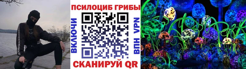 Псилоцибиновые грибы ЛСД  Купить где  Мышкин 